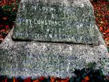 image of grave number 427854
